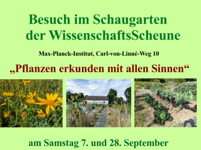 Plakat Besuch Schaugarten